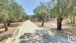 Quinta em Santa Catarina da Fonte do Bispo