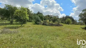 Land  at Santa Bárbara de Nexe