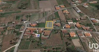 Terreno em Monte Real e Carvide