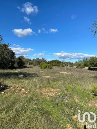 Farm land  in São Brás de Alportel