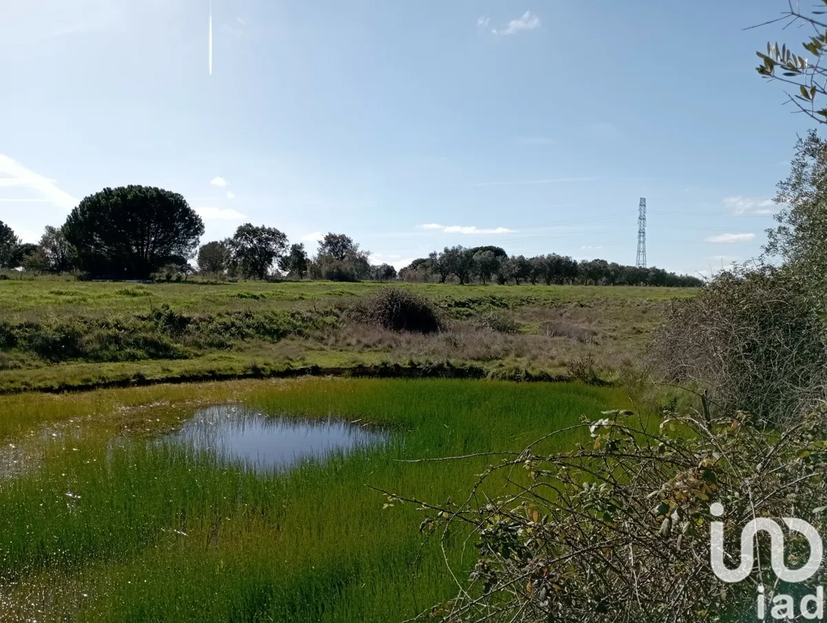 Terreno de 43 200 m² em Vale de Santarém