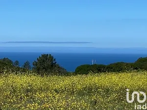 Land at Sesimbra (Castelo)