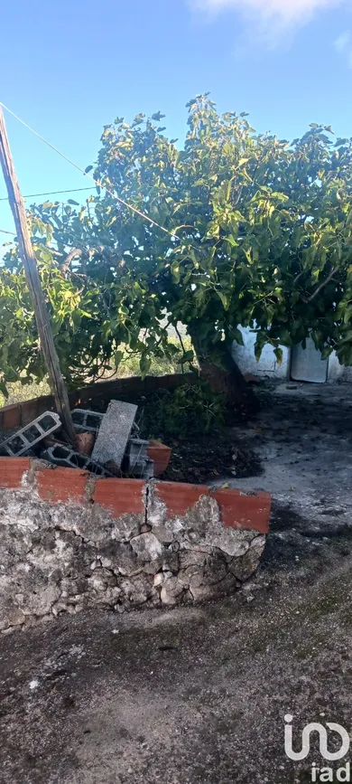 Building at Querença, Tôr e Benafim