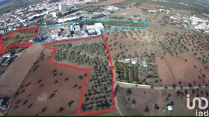 Land  at Moura (Santo Agostinho e São João Baptista) e Santo Amador