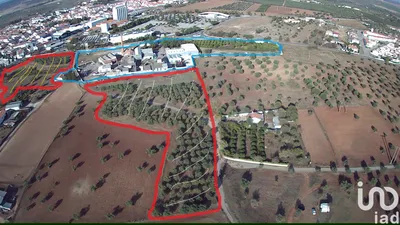 Fotografia 6 de Terreno rústico de 8 000 000 m² em Safara e Santo Aleixo da Restauração