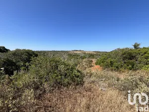 Farm land  at Barão de São Miguel