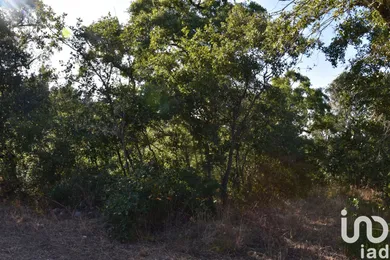 Land  in Chãos