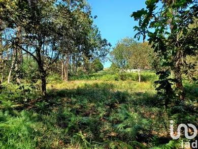 Building plot  in Freixieiro de Soutelo