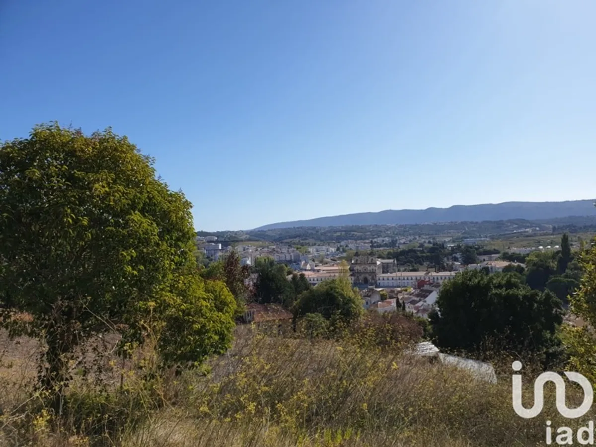 Terreno de 10 809 m² em Alcobaça e Vestiaria