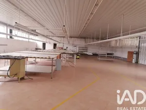 Armazém  em Raimonda