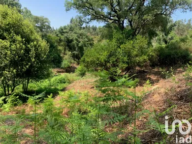 Terreno  em Graça