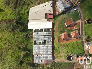 Building plot  in Prazeres