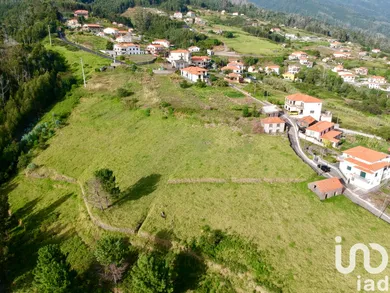 Terreno em Estreito da Calheta