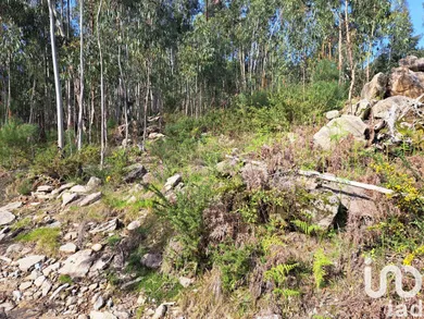 Land at Pico de Regalados, Gondiães e Mós