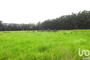 Terreno em Ovar, São João, Arada e São Vicente de Pereira Jusã