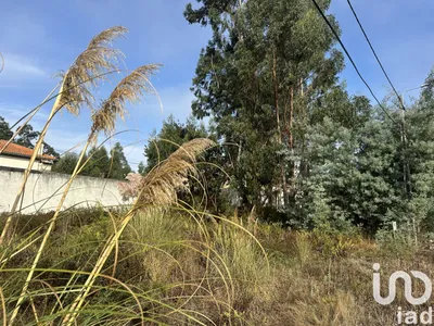 Fotografia 2 de Terreno de 414 m² em Requeixo, Nossa Senhora de Fátima e Nariz