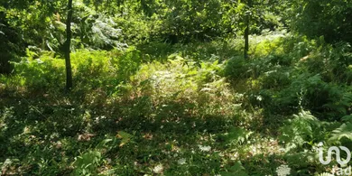 Terreno  em Luzim e Vila Cova
