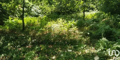 Fotografia 3 de Terreno de 1585 m² em Luzim e Vila Cova