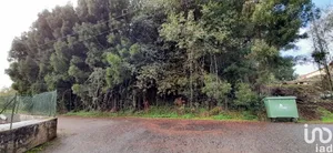 Terrain à Vila de Cucujães