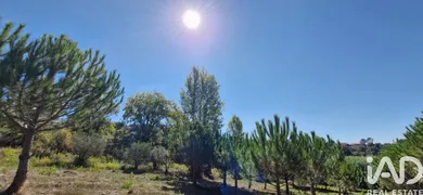 Casa/Moradia em Benedita