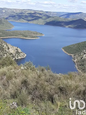 Farm at Felgar e Souto da Velha