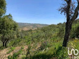 Terreno  em Querença, Tôr e Benafim