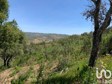 Terreno  em Querença, Tôr e Benafim