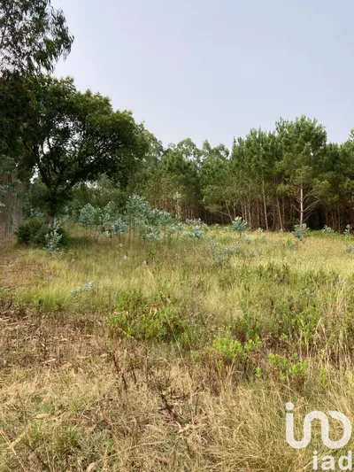 Fotografia 4 de Terreno de 875 m² em Moita dos Ferreiros