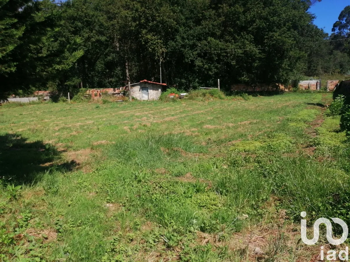 Terreno urbano de 8800 m² em São romão de neiva
