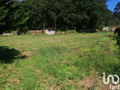 Terrain à batir à São romão de neiva