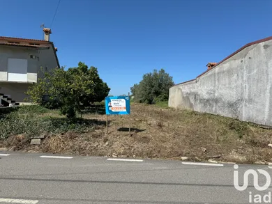 Terreno em Avelãs de Cima