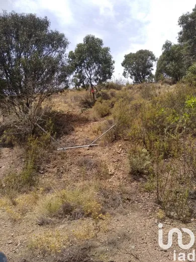 Land at Conceição e Cabanas de Tavira