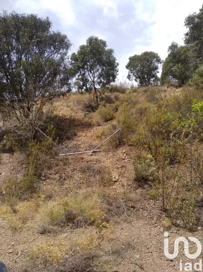 Fotografia 5 de Terreno urbano de 250 m² em Conceição