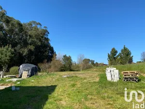 Terrain  à Oiã