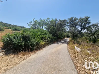 Fotografia 3 de Terreno rústico de 1760 m² em Santa Bárbara de Nexe
