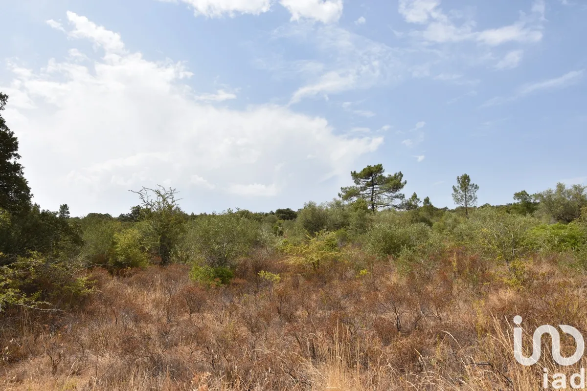 Terreno de 1600 m² em Areias e Pias