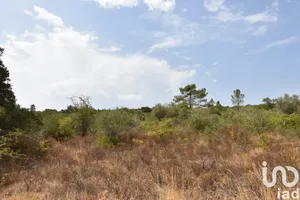 Terreno em Areias e Pias