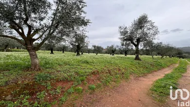 Building plot at Podentes