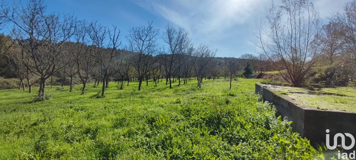 Terreno de 7026 m² em Mões
