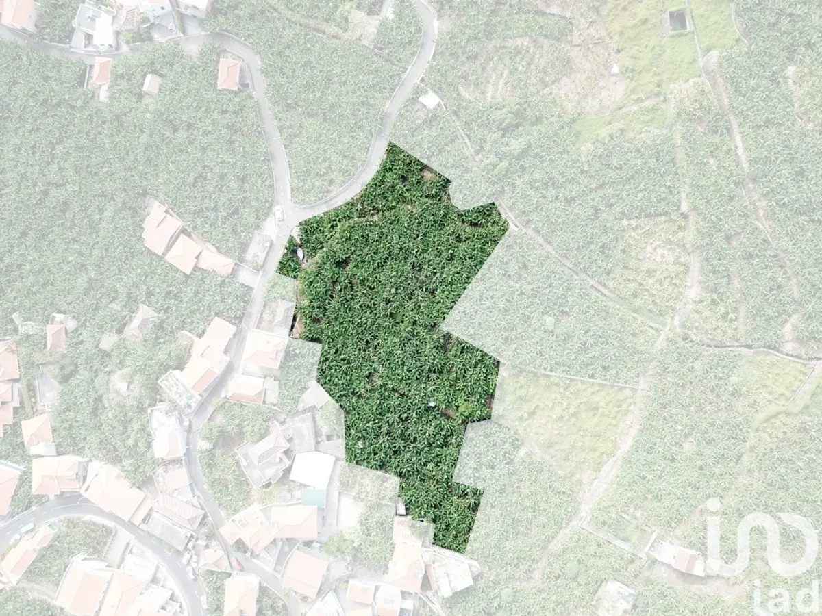 Terreno de 3990 m² em Ponta do Sol