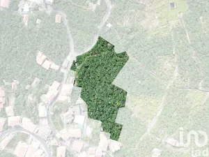 Land  at Ponta do Sol