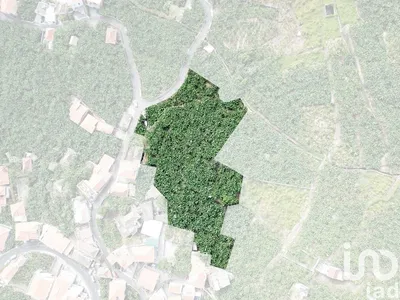 Fotografia 4 de Terreno rústico de 2935 m² em Câmara de Lobos