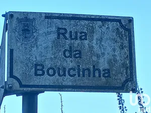 Farm land  at Campo E Tamel (São Pedro Fins)