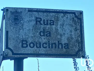 Farm land at Campo E Tamel (São Pedro Fins)