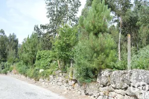 Building plot  at Termas de São Vicente