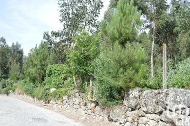 Building plot at Termas de São Vicente