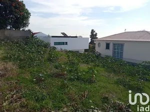 Land  at São Martinho