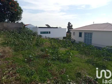 Land  at São Martinho