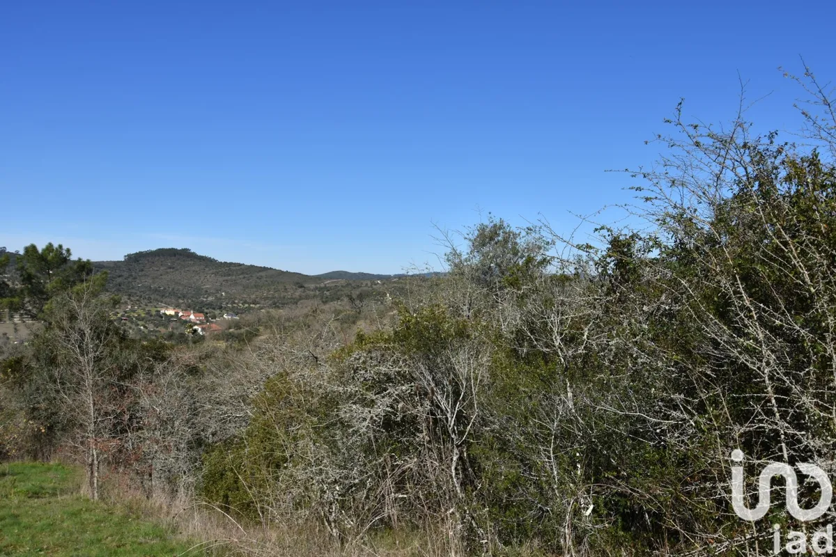 Terreno de 2000 m² em Chãos