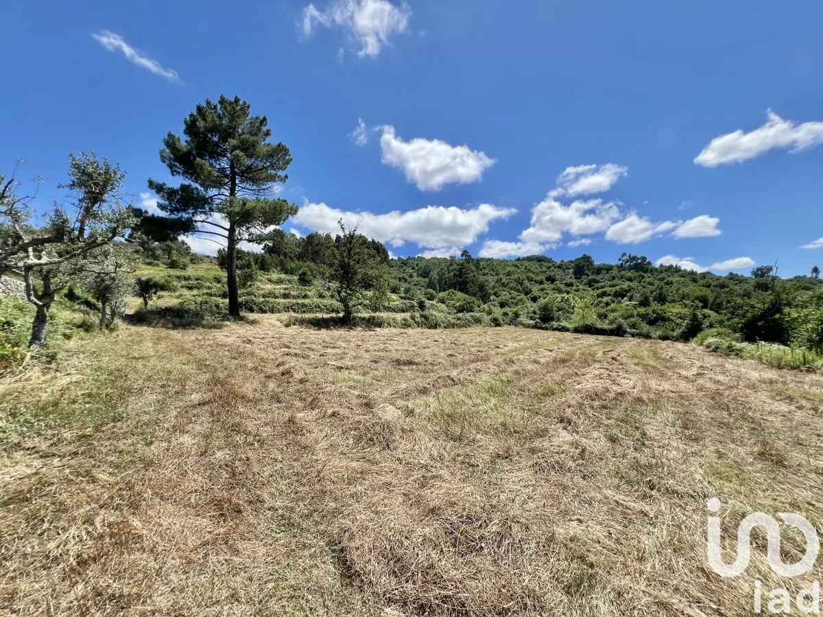 Terreno de 24 000 m² em São Paio